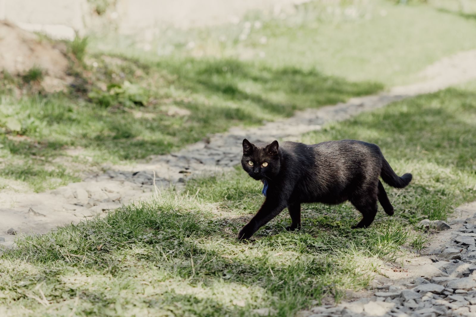 Chat Bombay
